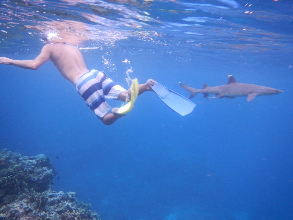 ナカリア ロッジ Wayasewa Island エクステリア 写真