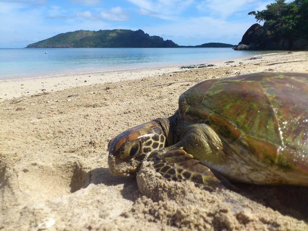 ナカリア ロッジ Wayasewa Island エクステリア 写真