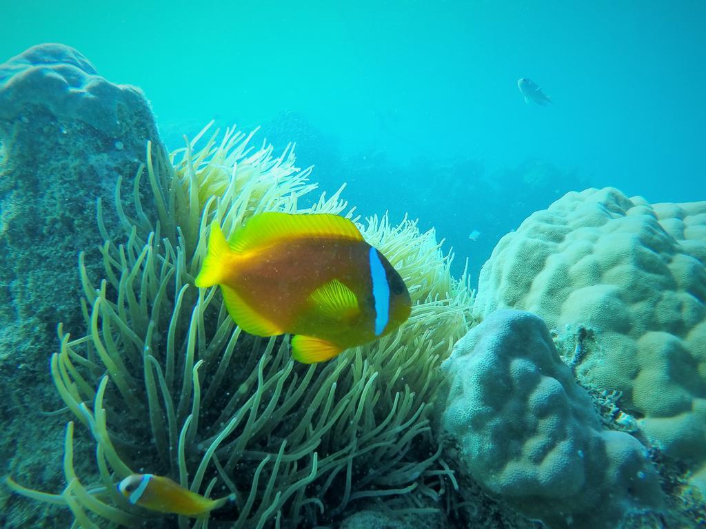ナカリア ロッジ Wayasewa Island エクステリア 写真